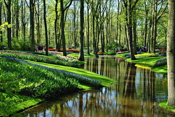 Wall Mural - Wiosenny park