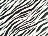 zebra skin texture