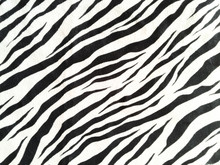 Zebra Skin Texture