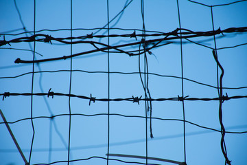 barbed wire on blue sky background