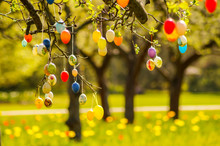 Easter Eggs On A Tree