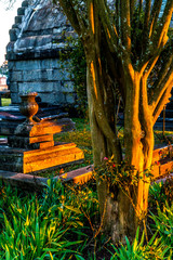 Wall Mural - Historic Magnolia Cemetery