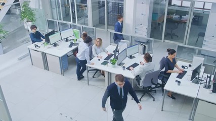 Aufkleber - In Busy Office Rows of Young Professionals Working on Desktop Computers, Talking, Doing Client Support, Communicating with Customers, Monitoring Statistics, Walking Thorugh Hallway. High Angle Shot