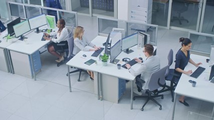 Aufkleber - In Busy Office Rows of Young Professionals Working on Desktop Computers, Talking, Doing Client Support, Communicating with Customers, Monitoring Statistics, Walking Thorugh Hallway. High Angle Shot