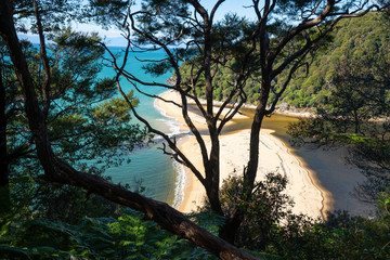 Wall Mural - Sandfly bay in the Abel Tasman National Park, New Zealand