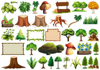 Wall Mural - set of nature element