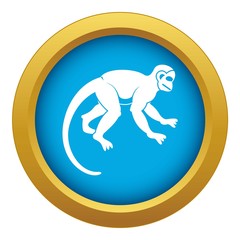 Canvas Print - Capuchin monkey icon blue vector isolated on white background for any design