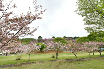 Poster - 静峰ふるさと公園