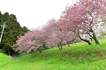 Poster - 静峰ふるさと公園