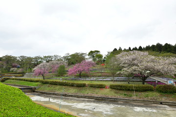 Poster - 静峰ふるさと公園