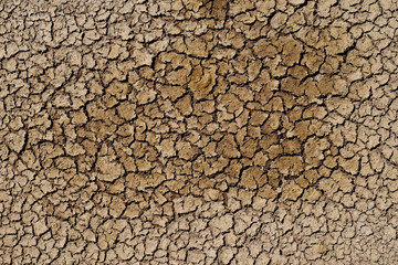 Sticker - texture of dry crack on the ground in drought season