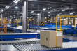 Automated warehouse. Boxes moving on conveyer