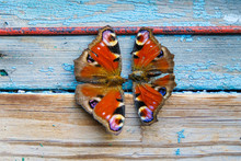 Two Dry Butterflies Peacock Eye On The Old Window Sill Of The Attic.