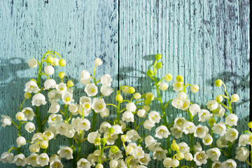 Wall Mural - Lily of the valley flowers on cracked blue wood table background, directly above