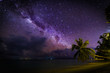 Palm trees under the stars. Exotic night view, milky way and beautiful night sky