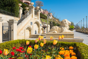 Wall Mural - yellow and ornage tulips forward of lion scultures in foggy morning in Odessa in Ukraine