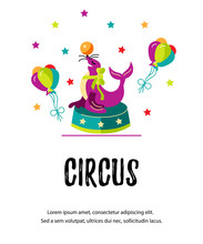 Seal With Ball Sits On A Stand. Vector Illustration. Template For Circus Show, Party Invitation, Poster, Kids Birthday. Flat Style.