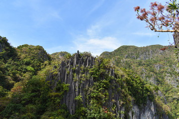  Sharp edges of a rock formation surrounded with plants and other rock formations. View from Taraw Cliff in El Nido, Palawan in the Philippines.
