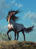 A wild horse trots over a grassy hill on a warm summer day. As it reaches the crest of the hill, the wind blows picking up the hairs of the animal's mane and tail. 3D Rendering