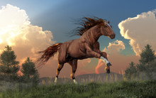 A Thoroughbred Horse, With A Chestnut Colored Coat With Three White Socks, And A Head With A White Star And Narrow Stripe, Gallops Over Grassy, Wildflower Covered Hills. 3D Rendering