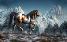 A Brown And White Pinto Coated Horse With A Dark Mane And Tail Trots Across A Snow Covered Field Towards A Forest Of Fir Trees. In The Distance, Rocky Mountains Just Into The Sky. 3D Rendering