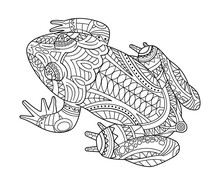 Hand Drawn Frog For Coloring Book For Adult