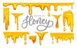 Dripping honey on white background. colorful collection of delicious honey drops. Melted honey isolated on white background. Vector illustration.