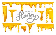 Dripping Honey On White Background. Colorful Collection Of Delicious Honey Drops. Melted Honey Isolated On White Background. Vector Illustration.