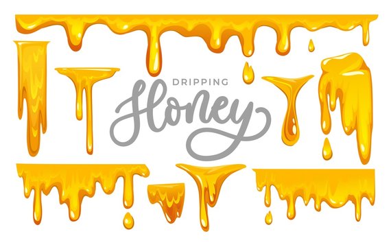 Wall Mural - Dripping honey on white background. colorful collection of delicious honey drops. Melted honey isolated on white background. Vector illustration.