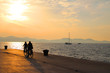 Cyclists along the waterfront at Sunset in Zadar, Croatia in Europe