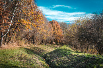 Small winding creek