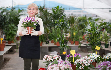 Woman gardener is standing with flower near plants