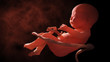Child in the womb, embryo. 3d rendering 