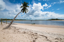 Tropical Landscape With Lone Coconut Palm Tree On Paradise Beach