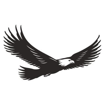 monochrome flying eagle template