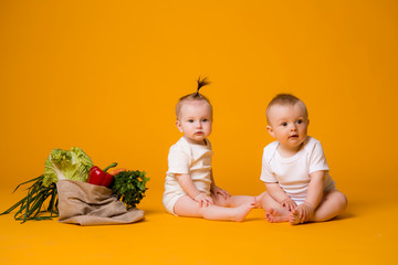 two baby boy and girl surrounded by the fresh vegetable in eco bag isolate on the yellow background, the concept of jhganic foods,healthy food for children