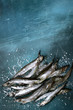 Raw capelin fish with salt.Top view with copy space.