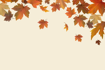 Poster - Autumn leaves background