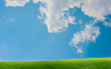 green grass and blue sky