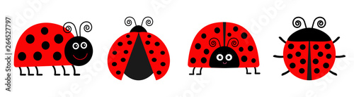 Ladybug Ladybird icon set line Poster Mural XXL
