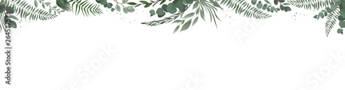 Horisontal botanical design banner. Pink rose, eucalyptus, succulents, flower...