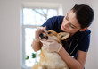 © Nejron Photo - Veterinary surgeon and corgi dog at vet clinic