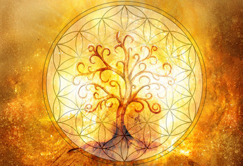 Poster - tree of life symbol and flower of life and space background, yggdrasil.