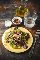 Sticker - Fresh salad mix of baby spinach, arugula leaves and chard