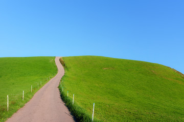 Poster - rural road on hill with blue sky