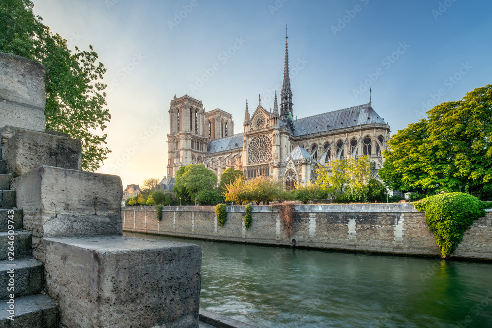 Katedra Notre Dame w Paryżu, Francja - obrazy, fototapety, plakaty 