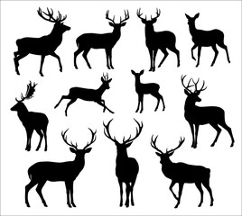 Graphic black silhouettes of wild deers – male, female and  roe deer