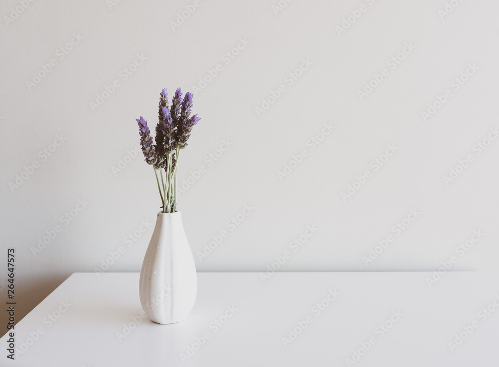 Close up of lavender sprigs in small white vase on side table against neutral wall background (selective focus) - obrazy, fototapety, plakaty 