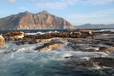 Fototapeta Góry - Дукер остров Южная Африка мыс