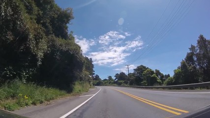 Wall Mural - Drive in Bay of Plenty, New Zealand